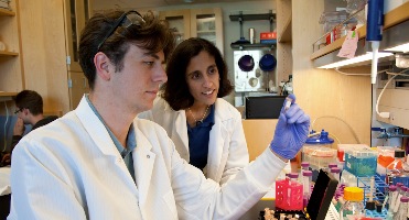 Tejal Desai, PhD, program co-director